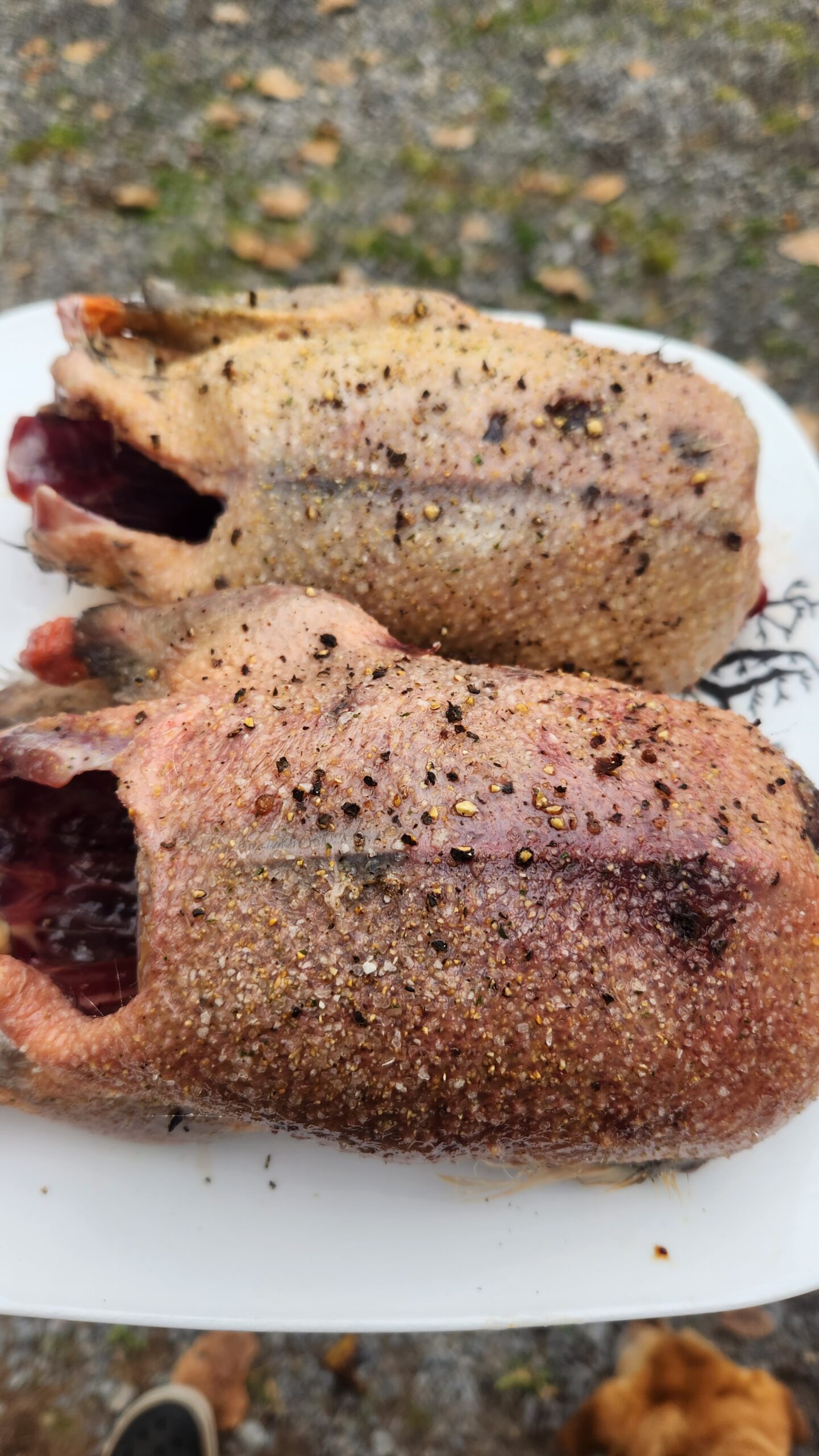 7_seasoned-and-ready-for-grill